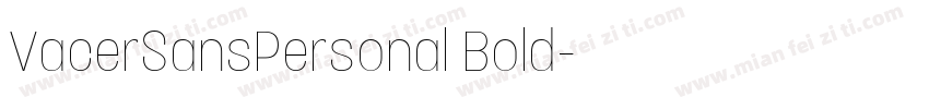 VacerSansPersonal Bold字体转换